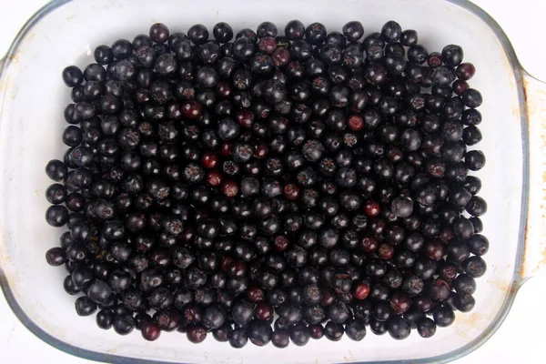 Latar Belakang Chokeberry Hitam Segar Black Aronia Latar Belakang Berry — Stok Foto