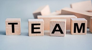 TEAM - the inscription on wooden cubes on a white background