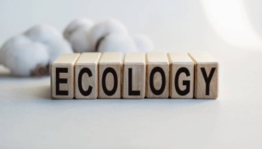 Hafif arkaplanda izole edilmiş tahta küplere ECOLOGY yazılıydı. Tahta küp üzerinde kelime oluşturma kavramı. İş, ekonomi ve finans kavramı.