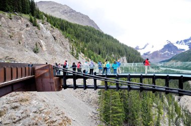 Columbia Buz Tarlaları, Jasper Ulusal Parkı, Alberta, Kanada, 13 Temmuz 2019: Yaz boyunca Jasper Ulusal Parkı 'nda parkın keyfini çıkaran turistler, çevresindeki dağların manzarasıyla.