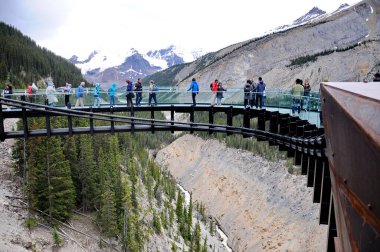 Columbia Buz Tarlaları, Jasper Ulusal Parkı, Alberta, Kanada, 13 Temmuz 2019: Yaz boyunca Jasper Ulusal Parkı 'nda parkın keyfini çıkaran turistler, çevresindeki dağların manzarasıyla.