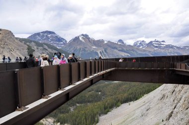 Columbia Buz Tarlaları, Jasper Ulusal Parkı, Alberta, Kanada, 13 Temmuz 2019: Yaz boyunca Jasper Ulusal Parkı 'nda parkın keyfini çıkaran turistler, çevresindeki dağların manzarasıyla.