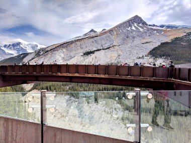 Columbia Buz Tarlaları, Jasper Ulusal Parkı, Alberta, Kanada, 13 Temmuz 2019: Yaz boyunca Jasper Ulusal Parkı 'nda parkın keyfini çıkaran turistler, çevresindeki dağların manzarasıyla.