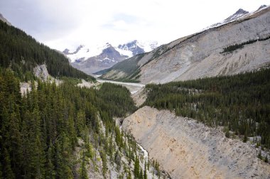 Yaz boyunca Jasper Ulusal Parkı 'ndaki Skywalk' un çevresindeki dağların ve nehrin manzarası..