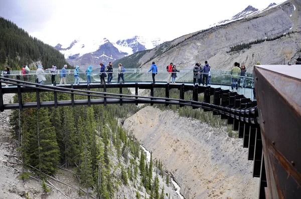 Columbia Buz Tarlaları, Jasper Ulusal Parkı, Alberta, Kanada, 13 Temmuz 2019: Yaz boyunca Jasper Ulusal Parkı 'nda parkın keyfini çıkaran turistler, çevresindeki dağların manzarasıyla.