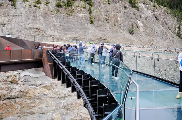 Columbia Buz Tarlaları, Jasper Ulusal Parkı, Alberta, Kanada, 13 Temmuz 2019: Yaz boyunca Jasper Ulusal Parkı 'nda parkın keyfini çıkaran turistler, çevresindeki dağların manzarasıyla.