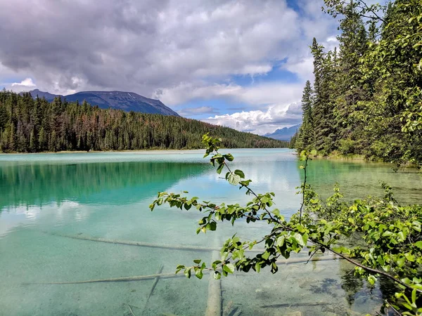 Vallée Des Cinq Lacs Dans Parc National Jasper Alberta Canada — Photo