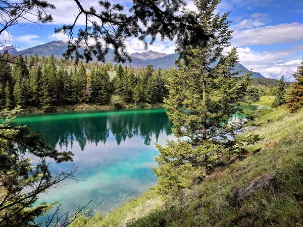 Vale Dos Cinco Lagos Parque Nacional Jasper Alberta Canadá — Fotografia de Stock