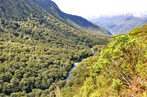 Lac Marina Sentier Randonnée Dans Parc National Fiordland Île Sud — Photo