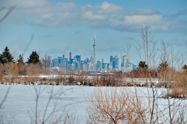 Winter Skyline Toronto Ontario Canada Gennaio 2022 — Foto Stock
