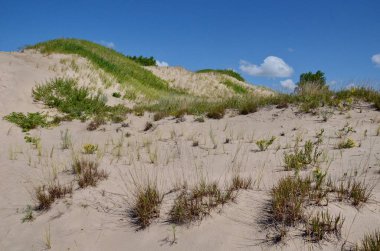 Ontario, Kanada 'daki Sandbanks İl Parkı' ndaki kum tepeleri. Kum bankaları dünyanın en büyük Baymouth bariyer oluşumudur. Ontario Gölü üzerinde yer almaktadır..