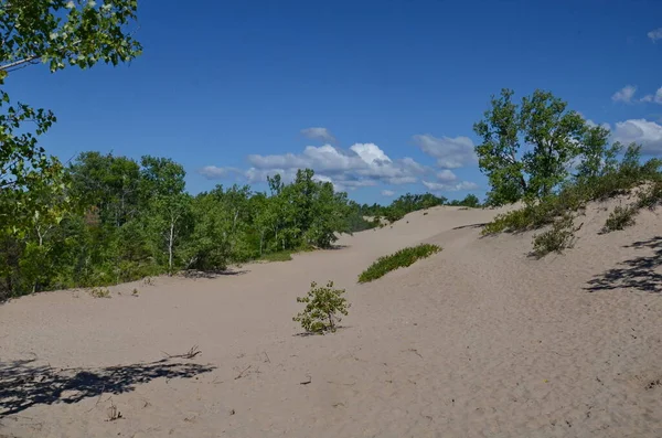 Песчаные Дюны Дюн Бич Провинциальном Парке Сандбанкс Онтарио Канада Сандбанкс — стоковое фото