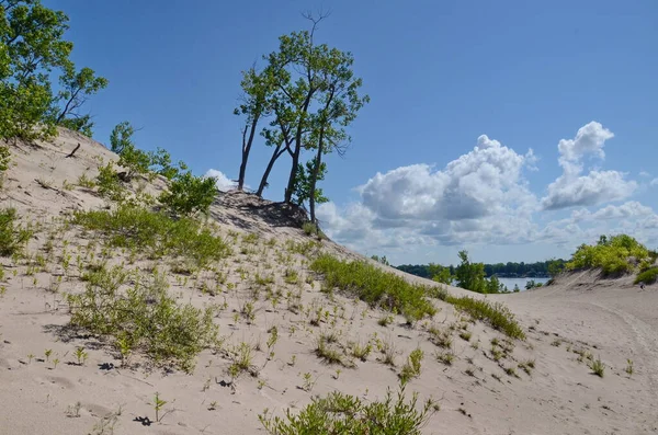 Dunes Beach Sand Dunes Sandbanks Provincial Park Ontario Canada Sandbanks — Stock Photo, Image