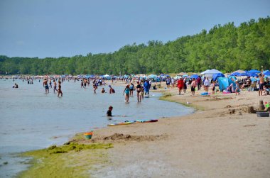 Prens Edward County, Ontario, Kanada, 14 Temmuz 2022: İnsanlar Sandbanks İl Parkı 'ndaki plajın tadını çıkarıyor. Kumsalları Ontario Gölü 'nün kuzeydoğu tarafında yer almaktadır..