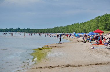 Prens Edward County, Ontario, Kanada, 14 Temmuz 2022: İnsanlar Sandbanks İl Parkı 'ndaki plajın tadını çıkarıyor. Kumsalları Ontario Gölü 'nün kuzeydoğu tarafında yer almaktadır..