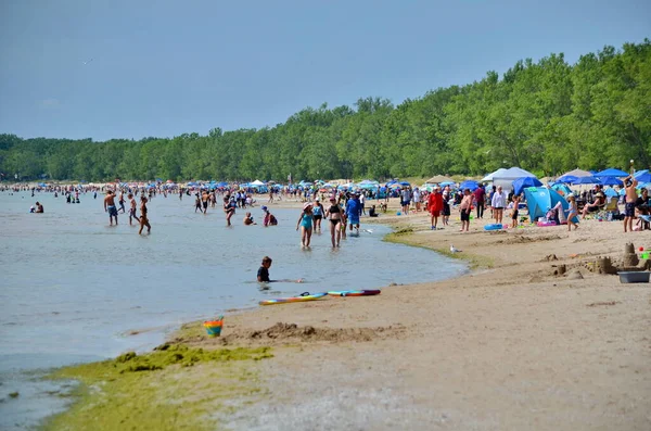 Prince Edward County Ontario Canada July 2022 People Enjoy Beach — 스톡 사진