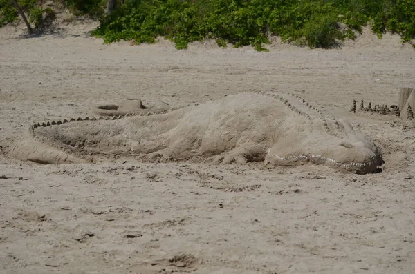 Alligator Sand Castle Beach Ontario Canada — Φωτογραφία Αρχείου