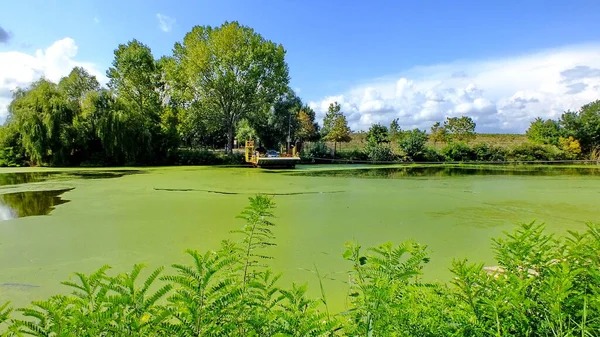 River Delta Italy Picture Taken September 2015 2022 Water Levels — Fotografia de Stock