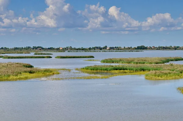 River Delta Italy Picture Taken September 2015 2022 Water Levels — Zdjęcie stockowe