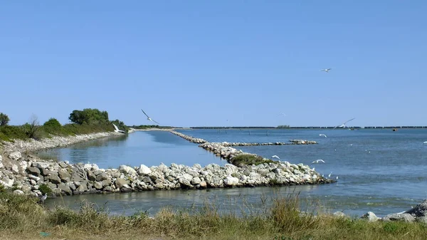 River Delta Italy Picture Taken September 2015 2022 Water Levels — Stockfoto