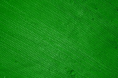 Yeşil kumaş dokusu - Rustik örgü arkaplan