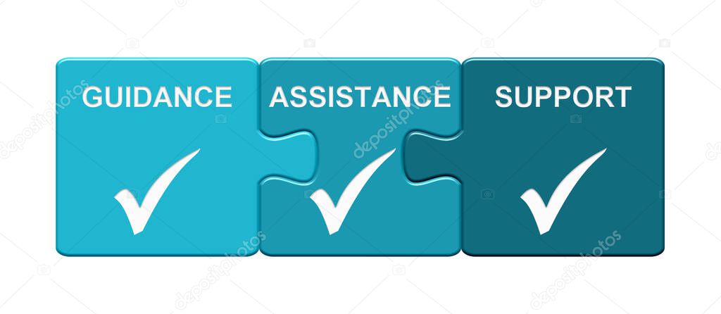 Isolated blue Puzzle Button with checkmarks: Guidance, Assistance, Support
