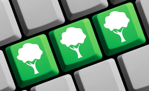 计算机键盘3D插图 森林与自然在线 — 图库照片