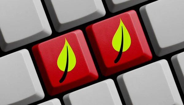 红色电脑键盘上的两片叶子 3D插图 — 图库照片
