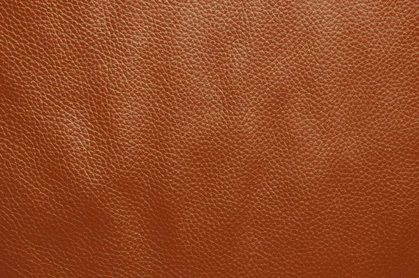 Empty Natural Brown Red Leather Texture — Stock fotografie