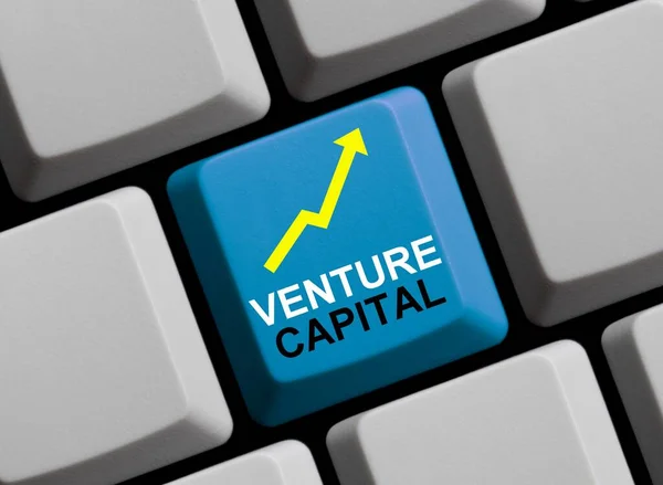 Venture Capital Investition Online Illustration — Stockfoto