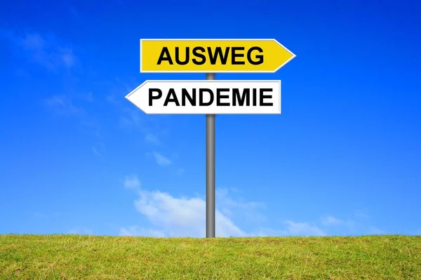 Waywiser Mostra Fuga Pandemia Lingua Tedesca — Foto Stock