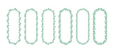 Farklı çiçekleri olan vektör dekoratif kenarlıklar kümesi