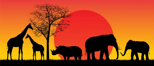 Силуэт Слонов Жирафов Носорогов Лесу Красивым Желтым Солнцем Заднем Плане — стоковый вектор