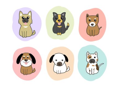 Bir grup sevimli komik köpek.