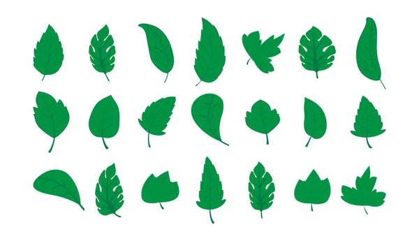 Set Leaf Green Tree Leaves Isolated White — Stock Vector