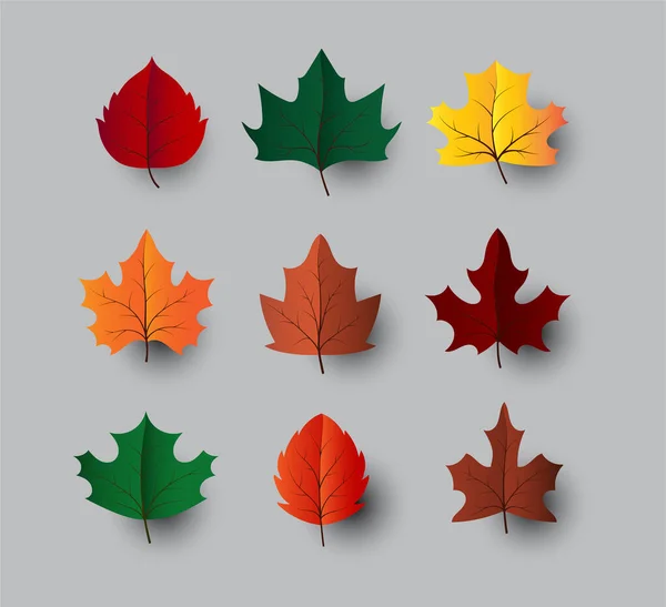 Maple Leaves Vector Set Autumn — Stock Vector