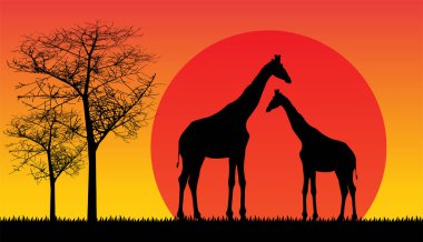 Safari vahşi yaşam Afrika günbatımı, hayvanlar izole edilmiş vektör