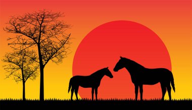 Safari vahşi yaşam Afrika günbatımı, hayvanlar izole edilmiş vektör