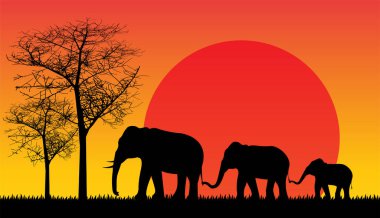 Safari vahşi yaşam Afrika günbatımı, hayvanlar izole edilmiş vektör