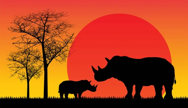 Safari Дикая Природа Африки Закат Животные Изолированы Вектор — стоковый вектор