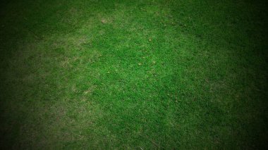 full frame shot of green lawn for background