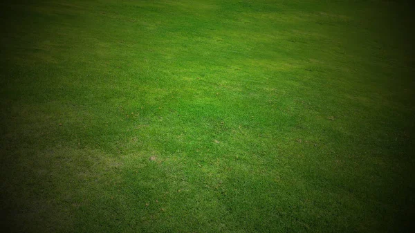 Full Frame Shot Green Lawn Background — 图库照片