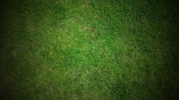 Full Frame Shot Green Lawn Background — Stock Photo, Image