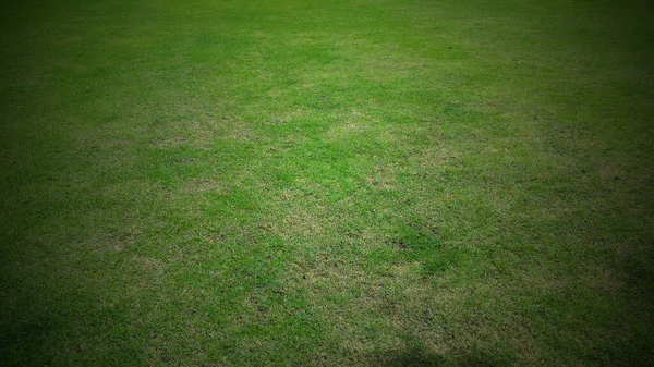 Full Frame Shot Green Lawn Background — 图库照片