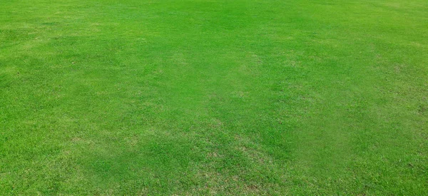 Full Frame Shot Green Lawn Background — Stock Photo, Image