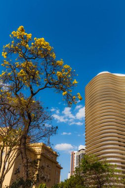 BELO HORIZONTE, MINAS GERAIS, BRAZIL - 5 Eylül 2021: Oscar Niemeyer ve Sarı Çiçek Ağacı 'nın apartmanı, Ipe, Liberty Meydanı (Praa da Liberdade)