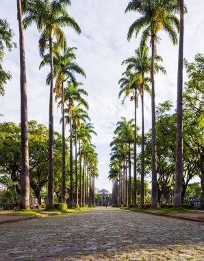 'Praa da Liberdade (Özgürlük Meydanı), Brezilya Belo Horizonte' deki Hükümet Sarayı ile Alameda