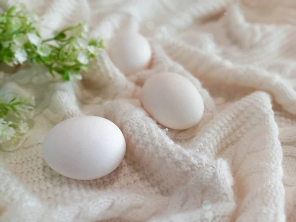 Telur Ayam Putih Pada Kain Putih — Stok Foto