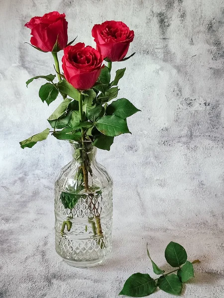 Красивые Красные Розы Прозрачной Вазе — стоковое фото