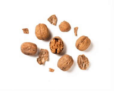 Beyazın üstüne ceviz. Yarım Ceviz karantinası. Tam alan derinliği. kabuk parçaları.